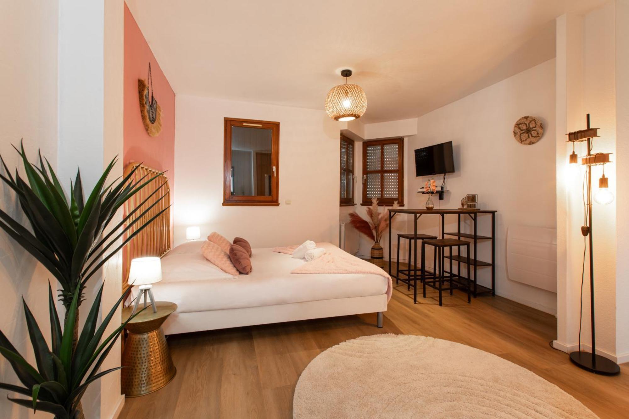 Nouveau - Le Discovery - Petite Venise Appartamento Colmar